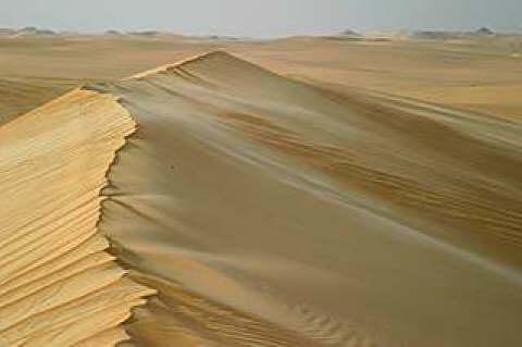 Siwa Oasis, Egypt 11