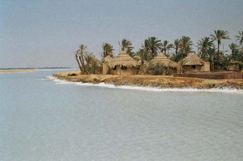 Siwa Oasis, Egypt 18