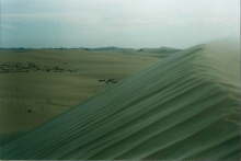 Siwa Oasis, Egypt 19