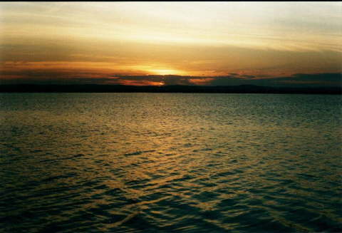 Siwa Oasis, Egypt 24
