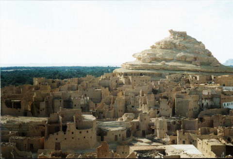 Siwa Oasis, Egypt 26