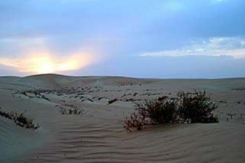 Siwa Oasis, Egypt 9