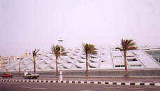 alexandria_library_view1