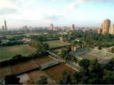 cairogezirabig