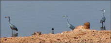 dakhla-lake