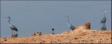 dakhla-lake