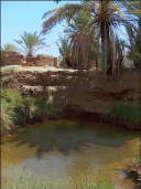 dakhla-magic springs