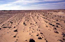 dakhla darb el tawil