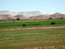 dakhla ein shanda