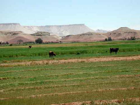 dakhla ein shanda