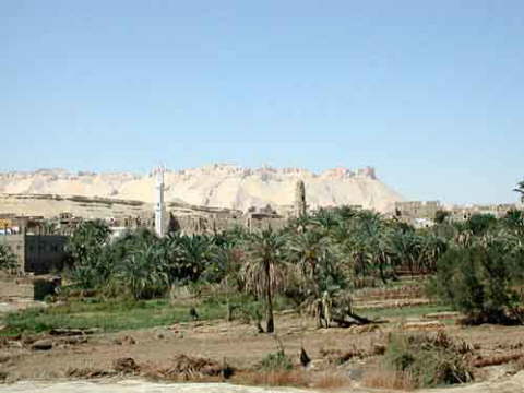 dakhla qasr