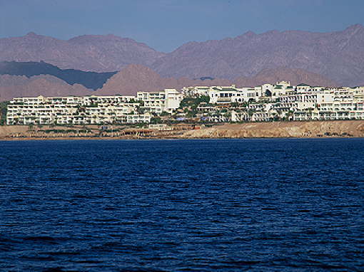 shahya02p002