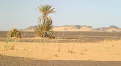 Baharia Black desert - Egypt