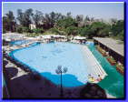 Pool-L-S