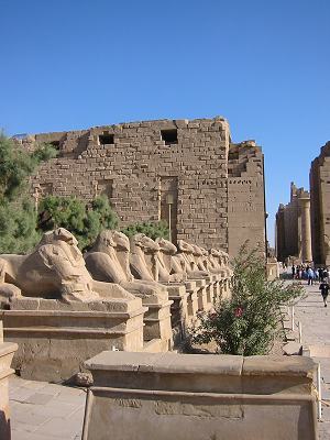 karnak temple rams